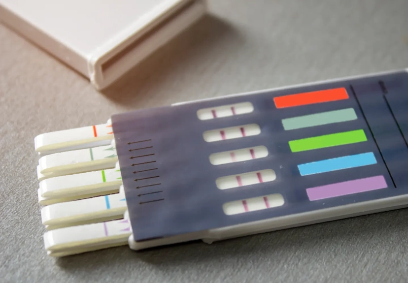 5-Panel Drug Test: A Complete Guide for Employers